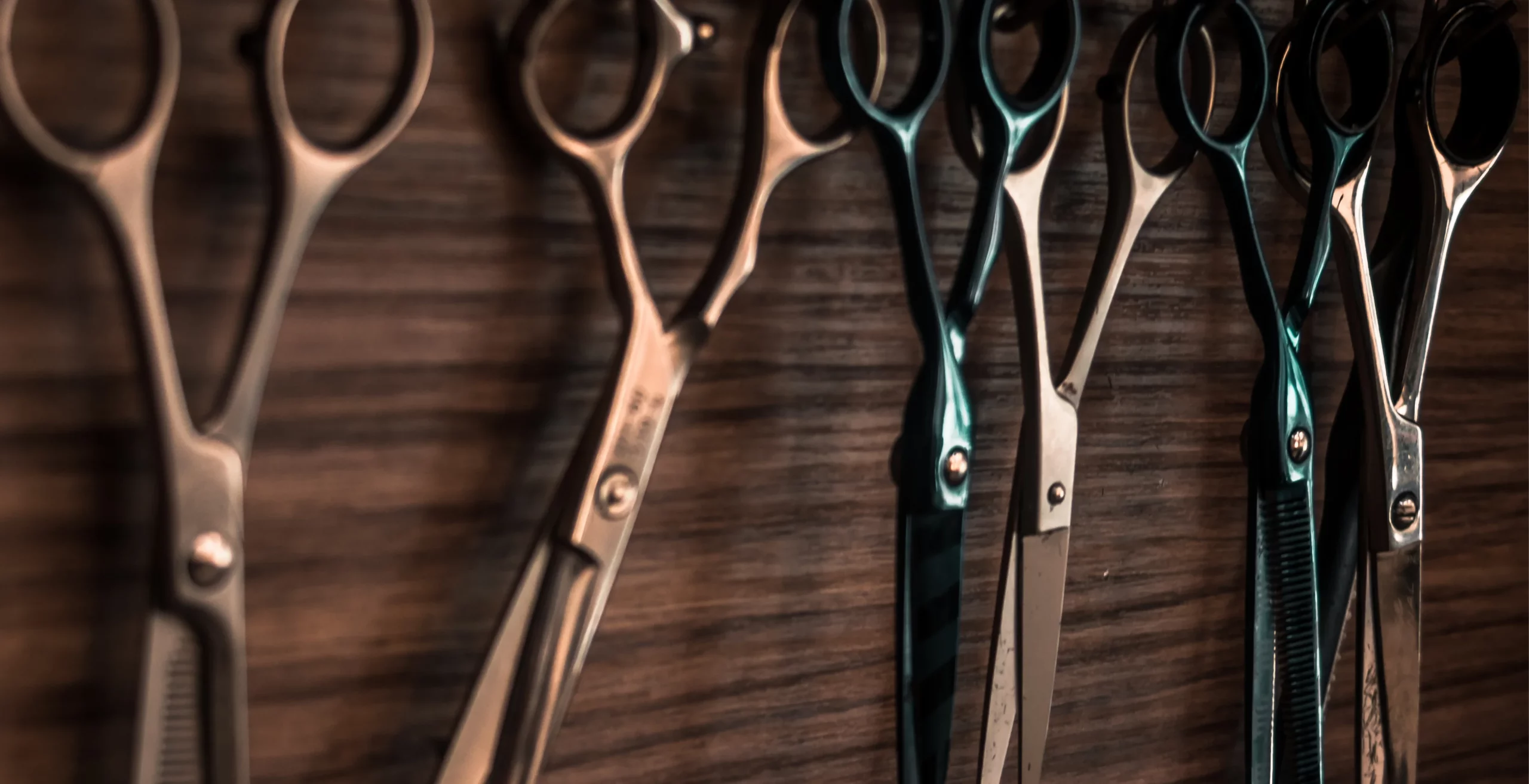 Tesoura de corte : Como escolher ?